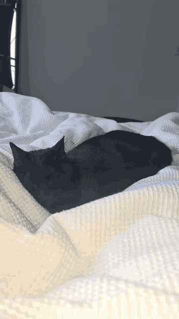 a black cat laying on top of a white blanket