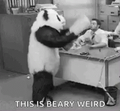 Angry Panda Mascot GIF - Angry Panda Mascot Mad GIFs