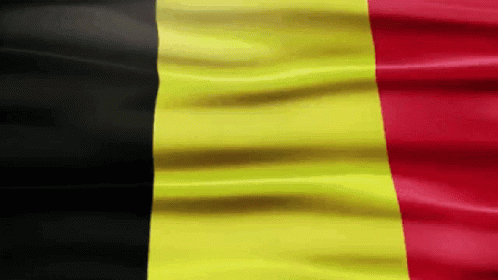 Belgium Flag Gif GIF - Belgium Flag Gif Europe GIFs