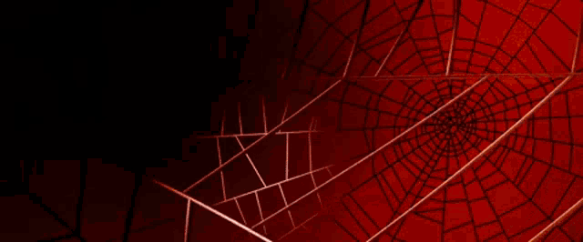 Spider Man Tobey Maguire GIF - Spider Man Tobey Maguire Alfred Molina GIFs