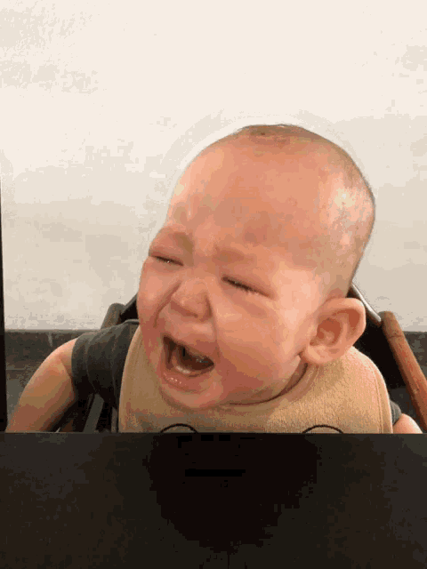 a baby wearing a bear bib is crying