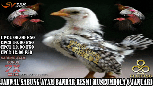 a picture of a chicken with the words museum bola on the bottom