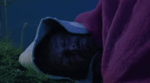 a person is wrapped in a purple blanket and sleeping in the grass