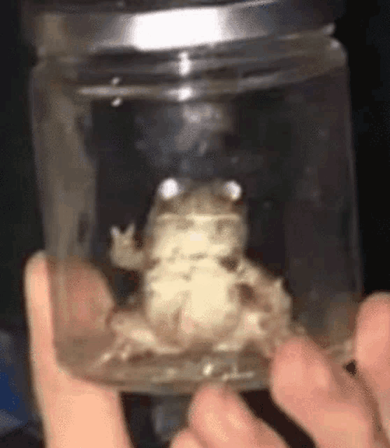 a person is holding a jar of water with a frog in it .