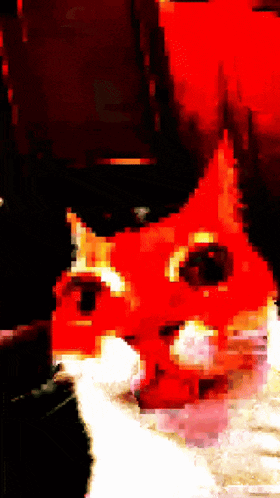 a close up of a red cat 's face with a black background
