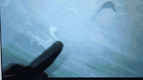 a person 's finger is pointing at a picture of a dolphin on a screen