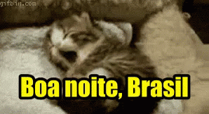 Boa Noite Brasil / Gato Bocejando / Gatinho GIF - Good Night Brasil Good Night Cat GIFs