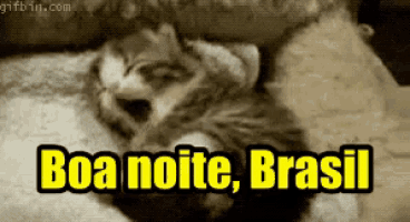 a kitten is sleeping on a bed with the words boa noite brasil
