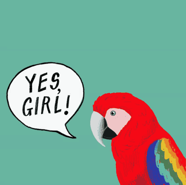 an illustration of a parrot saying yes girl