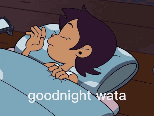 a cartoon of a person laying in bed with the words goodnight wata below it