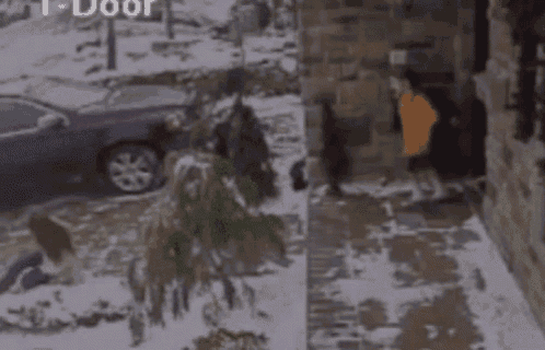 a group of people are walking in the snow in front of a house .