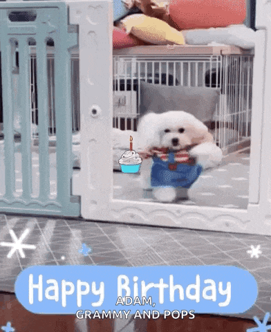 a small white dog in a cage with the words happy birthday grammy and pops above it