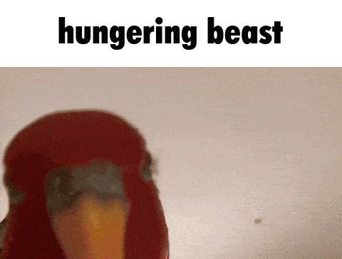 a hungry parrot with a large beak is standing in front of a wall .