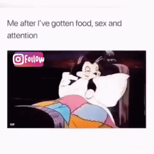 Food Sex GIF - Food Sex Attention GIFs