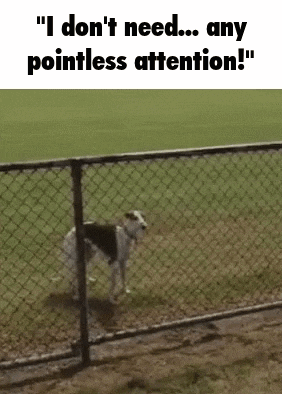 a dog standing behind a chain link fence with the words " i don 't need ... any pointless attention ! " above it