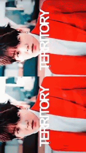 a person in a red jacket with the word territory written on it