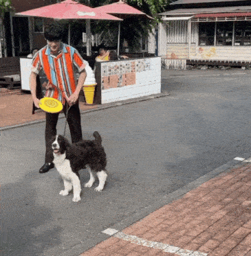 a man playing frisbee with a dog on a leash in front of an ice cream cone