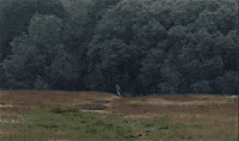a person is walking through a field with trees in the background .