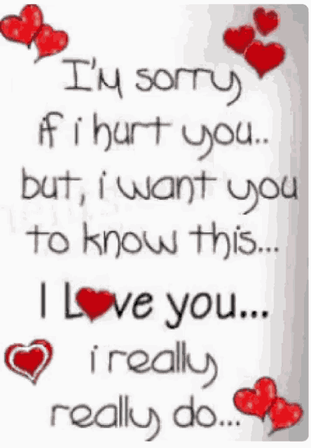 i 'm sorry if i hurt you but i want you to know this ... i love you really do ...