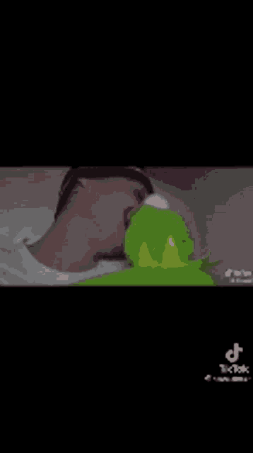 a man is kissing a green kermit the frog .