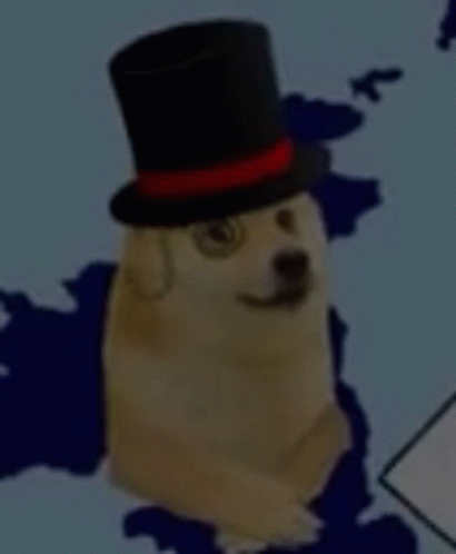 British Doge GIF - British Doge GIFs