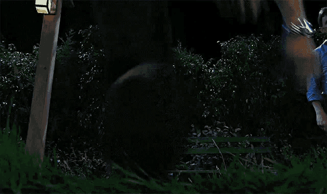 a man is kicking a ball in a park while another man watches .