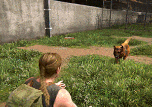 The Last Of Us Abby Anderson GIF - The Last Of Us Abby Anderson Petting Dog GIFs