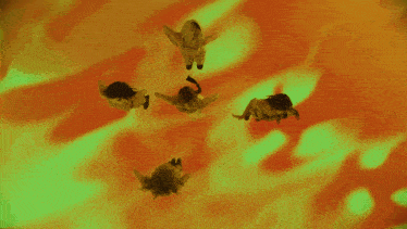 a group of young women are dancing in a room with green lights
