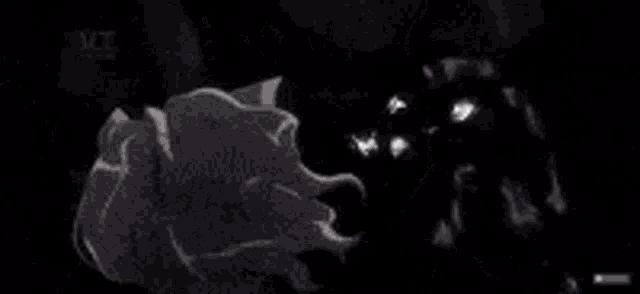 a black and white drawing of a monster with bright eyes .