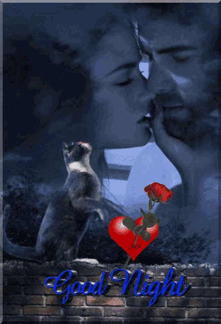 a picture of a man and woman kissing with a cat in the foreground and the words good night