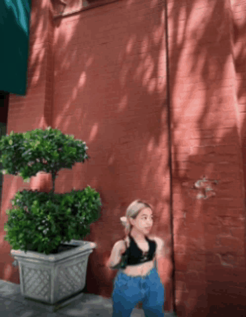 a woman standing in front of a brick wall with a potted plant in front of her