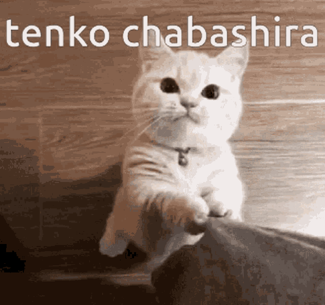 Tenko Chabashira Chabashira Tenko GIF - Tenko Chabashira Chabashira Tenko Danganronpa GIFs