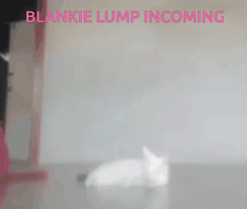 Blankielump Blankie Blanket Cat Scoot Blanketscoot Funnycat Beware GIF - Blankielump Blankie Blanket Cat Scoot Blanketscoot Funnycat Beware GIFs