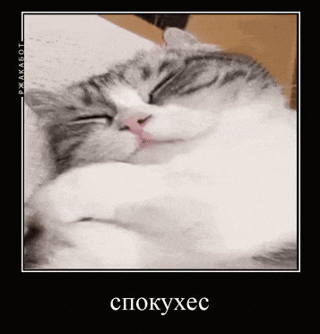a cat is sleeping on a bed with its eyes closed in a picture frame with russian writing on it