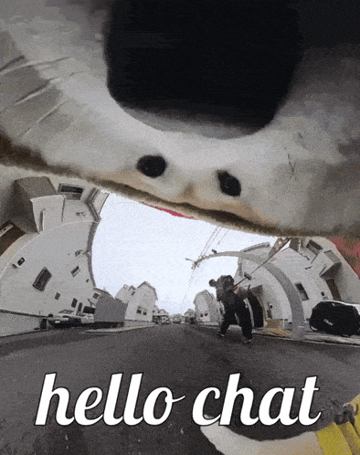 a picture of a person riding a skateboard with the words hello chat