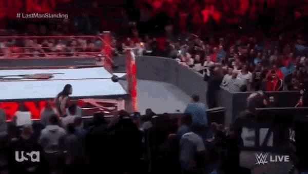 a wrestling match is being broadcast on usa network