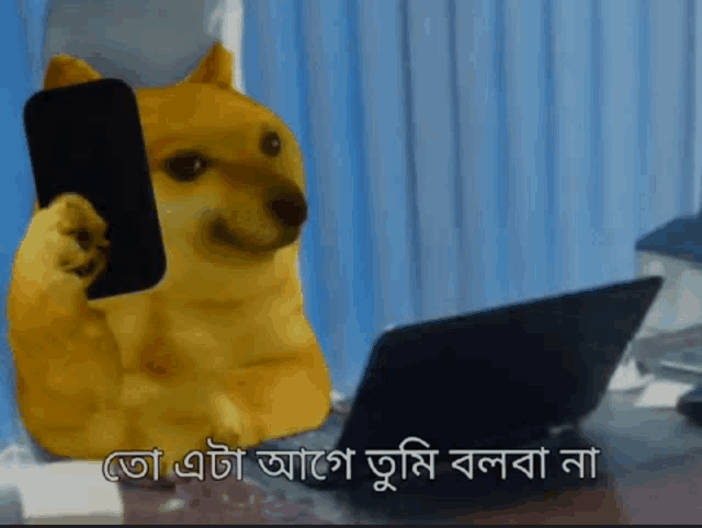a doge is holding a cell phone in front of a laptop computer