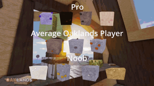 a screenshot of a game with the words pro average oaklands player noob