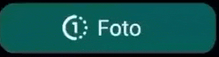 a green button with the word foto written on it .