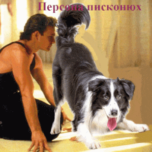 a man kneeling down next to a black and white dog with a pink tongue sticking out