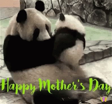 Happy Mothers Day Panda GIF - Happy Mothers Day Panda Mom GIFs