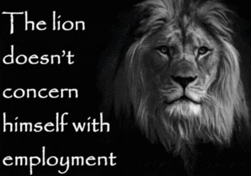 a black and white photo of a lion with the words " the lion doesn 't concern himself with employment " below it