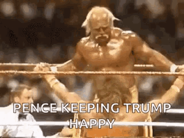 hulk hogan is standing in a boxing ring with a referee .