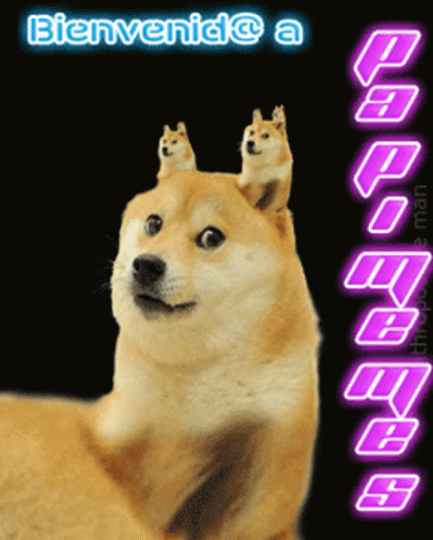 Galaxy Team Bienvenida A Papi Memes GIF - Galaxy Team Bienvenida A Papi Memes Doge GIFs