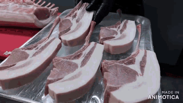 a tray of raw pork chops with the words made in animatica on the bottom