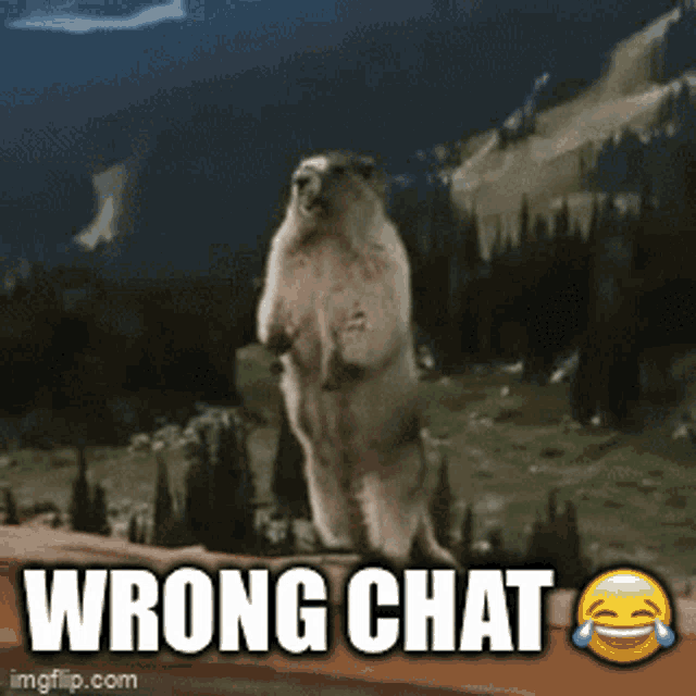 Wrongchat GIF - Wrongchat Wrong Chat GIFs