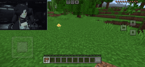 a screenshot of a video game called minecraft with the time of 11:05