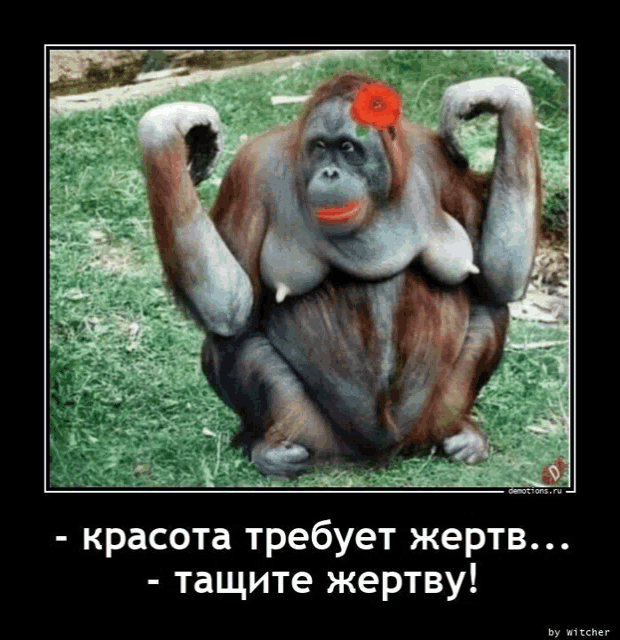 a picture of a monkey with a flower in its hair and a caption in russian