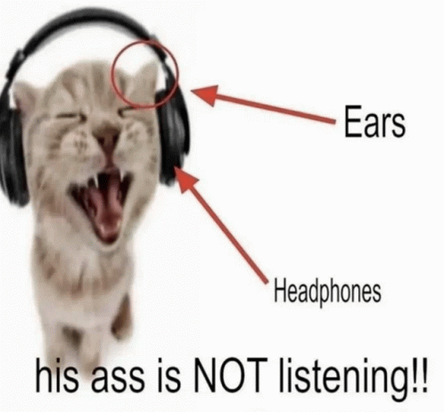 Fake Headphone GIF - Fake Headphone Funny Cat GIFs