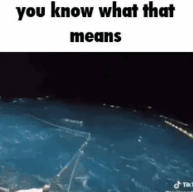 Fish Meme GIF - Fish Meme You Know What That Means GIFs